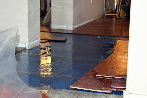 Professional Basement Flood Cleanup technician working in Petersburg, KY